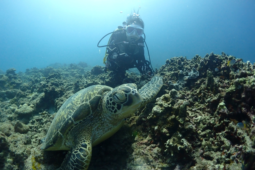 平山 薫（ヒラヤマ カオル）様